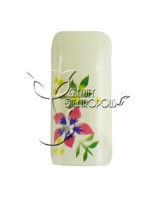 İnci Beyazı / Egzotik Çiçek Önceden tasarlanmış Akrilik / UV Jel Yapay / Yanlış Fransız Tırnak Uçları (70 adet.)