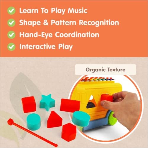 Yeni Yürümeye Başlayan Çocuklar için BOLEY Aktivite Öğrenme Oyuncağı-RooCrew Ksilofon Okul Otobüsü-Şekiller, Renkler ve Müzik