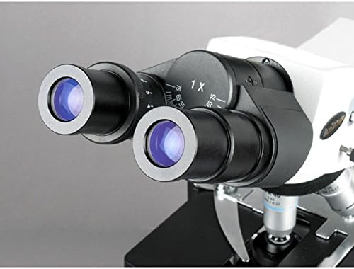 AmScope 40X-2000X Profesyonel Kohler Binoküler Bileşik Mikroskop (B660B)