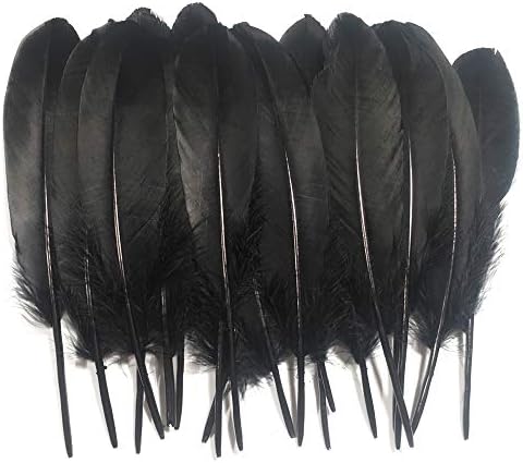 Barara kral Kaz Tüyü Güzel Siyah Tüyler 100 Adet 6-8 inç Tüyler DIY Zanaat Projeleri için Uygundur Giyim ve Şapka