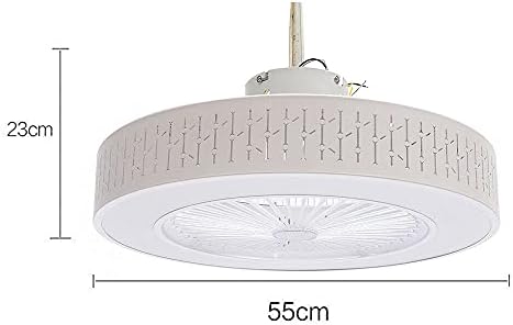 Tavan fanı ışık 2-Lambalar ve kızılötesi uzaktan kumanda ile 21.65 İnç Yuvarlak Zamanlama Fonksiyonu demir avize Fan Akrilik