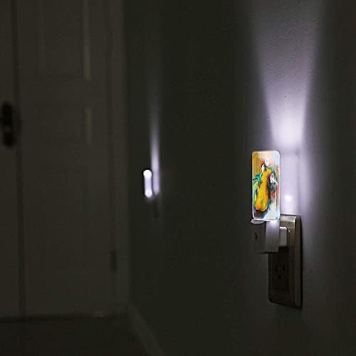 Papağan Gece Lambası Seti, Plug-in Led Gece Lambaları Otomatik Alacakaranlıktan Şafağa Sensör yatak odası için lamba Banyo Mutfak