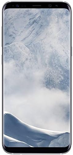 Samsung Galaxy S8 + SM - G955V - 6.2 inç-64GB - Verizon + GSM Kilidi Açıldı (Yenilendi) (Arctic Silver)