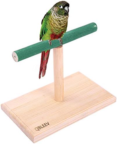QBLEEV Küçük Kuş Levrek, Kuş Oyun Standı, Taşınabilir Eğitim Papağan Playstand, kuş Kafesi Oyuncaklar için Cockatiels Conures