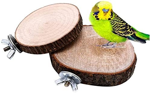 Yuvarlak Ahşap Sıçrama Tahtası Kuş Papağan Levrek Standı Raf Oyuncak Kurulu Platformu Küçük Hayvanlar için Papağan Conure Papağanının