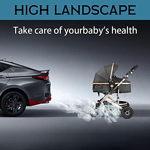 Beşik Cabrio Bebek Arabası için Bebek-Geri Dönüşümlü 2-in-1 Yüksek Peyzaj Yenidoğan ve Bebek Arabası (Siyah)